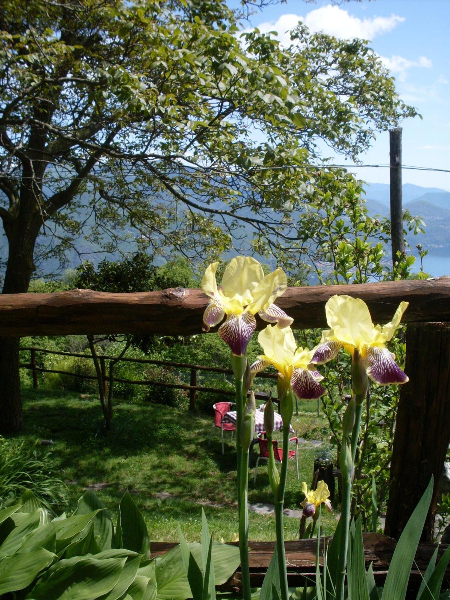 Agriturismo Da Attilio Cannobio Exterior foto